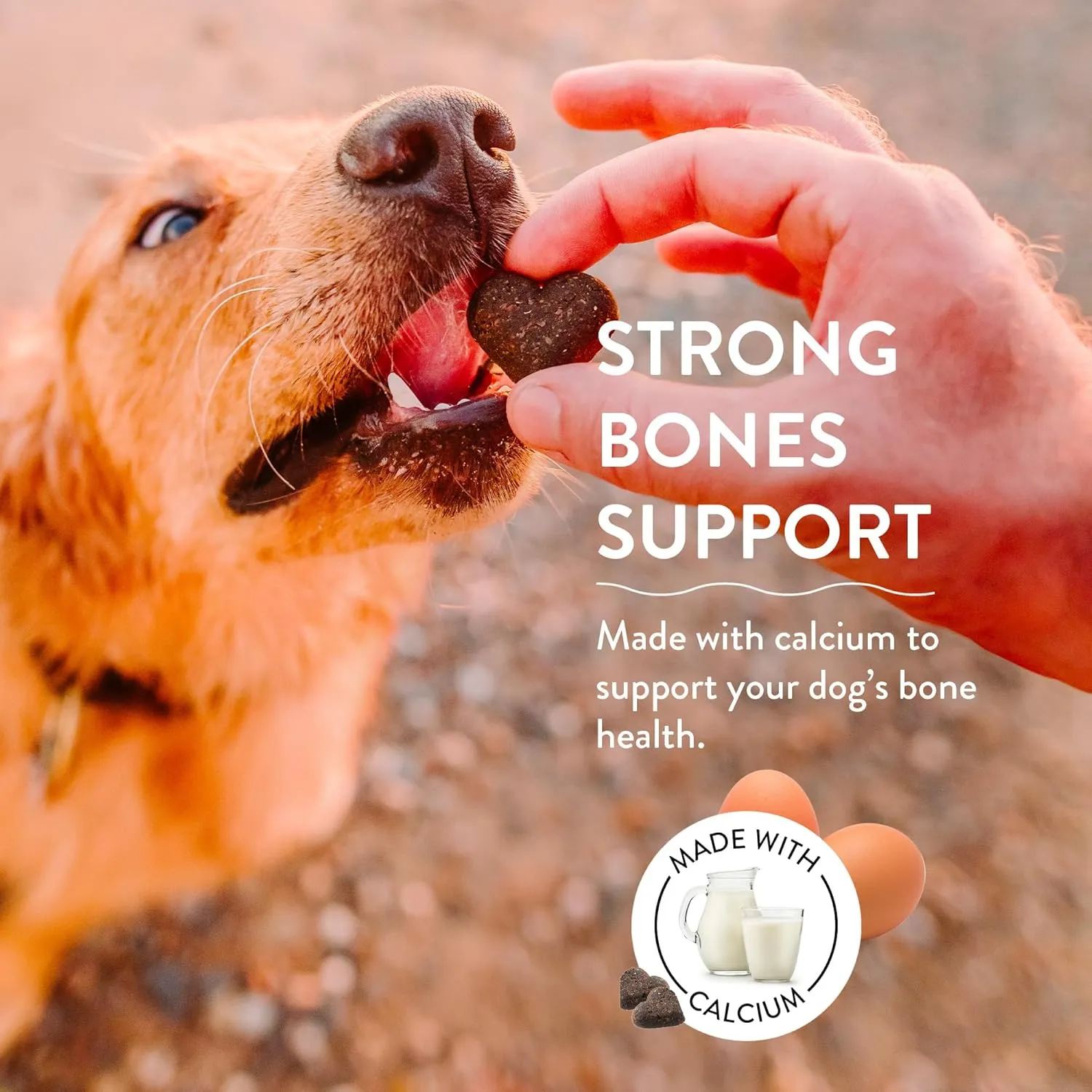 Shameless Pets Soft-Baked Dog Treats, Break an Egg - Natural & Healthy Dog Chews for Strong Bones Support with Calcium - Dog Biscuits Baked & Made in USA, Free from Grain, Corn & Soy - 3-Pack