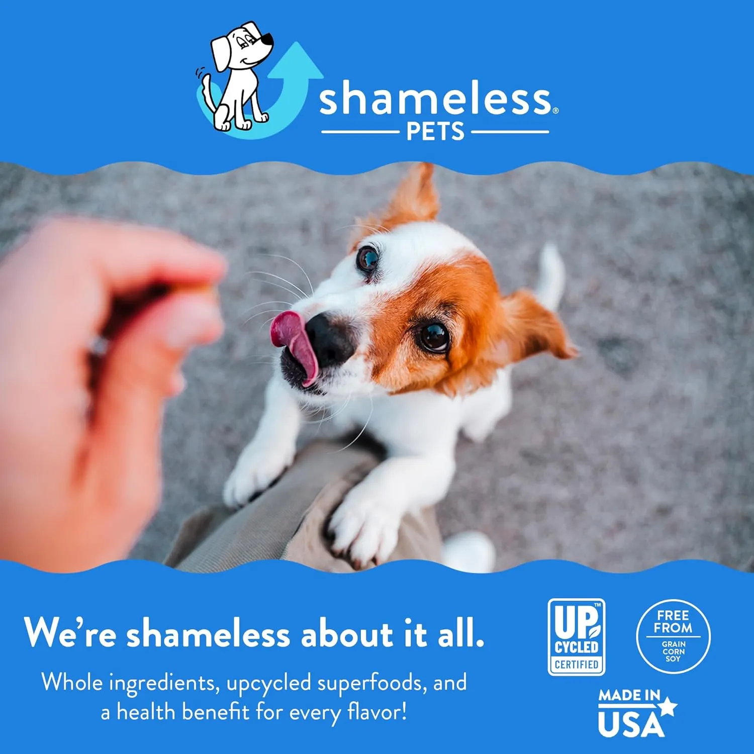 Shameless Pets Soft-Baked Dog Treats, Break an Egg - Natural & Healthy Dog Chews for Strong Bones Support with Calcium - Dog Biscuits Baked & Made in USA, Free from Grain, Corn & Soy - 3-Pack