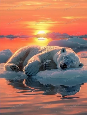 Sleeping Polar Bear Wooden Jigsaw Puzzles 500 Pieces - 500 Piece Jigsaw Puzzle 15 X 20 Inches, Fun Indoor Activity - Gift Poster, Patience Enhancing Stress Relief Gifts