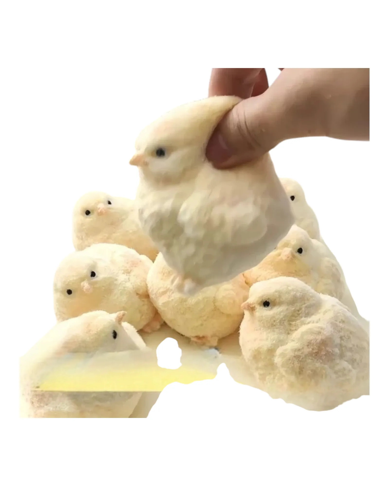 Soft Fluffy Chick Squishy Toy