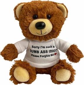 Sorry I'm Such an Idiot, Please Forgive Me? - 10" Teddy Bear & Gift Bag - Funny Cute Stuffed Animal Plush for Girlfriend, Boyfriend, Best Friend - Apology Gift for Her & Him - Witty Bear