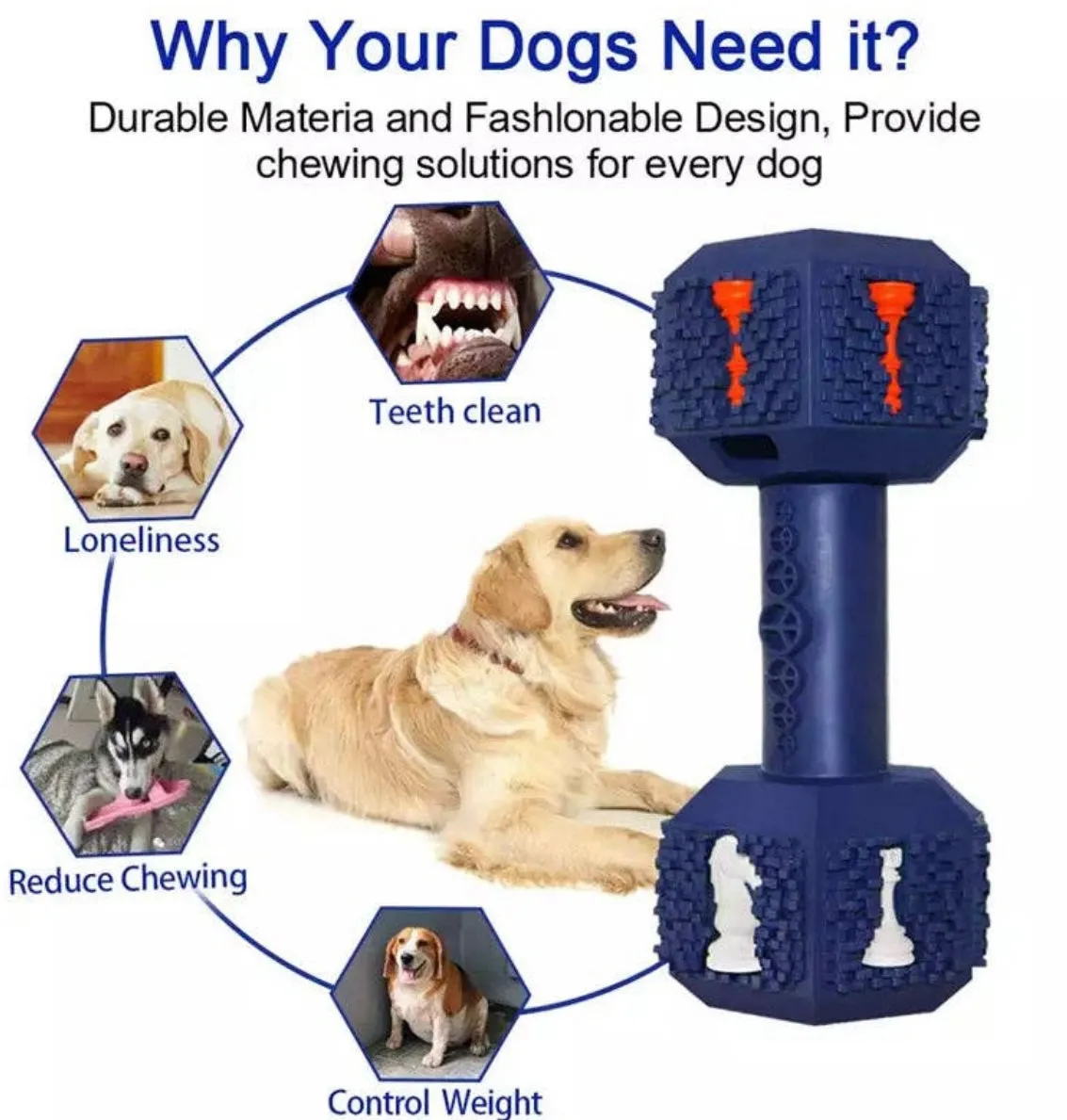 Strong & Durable Dumbbell