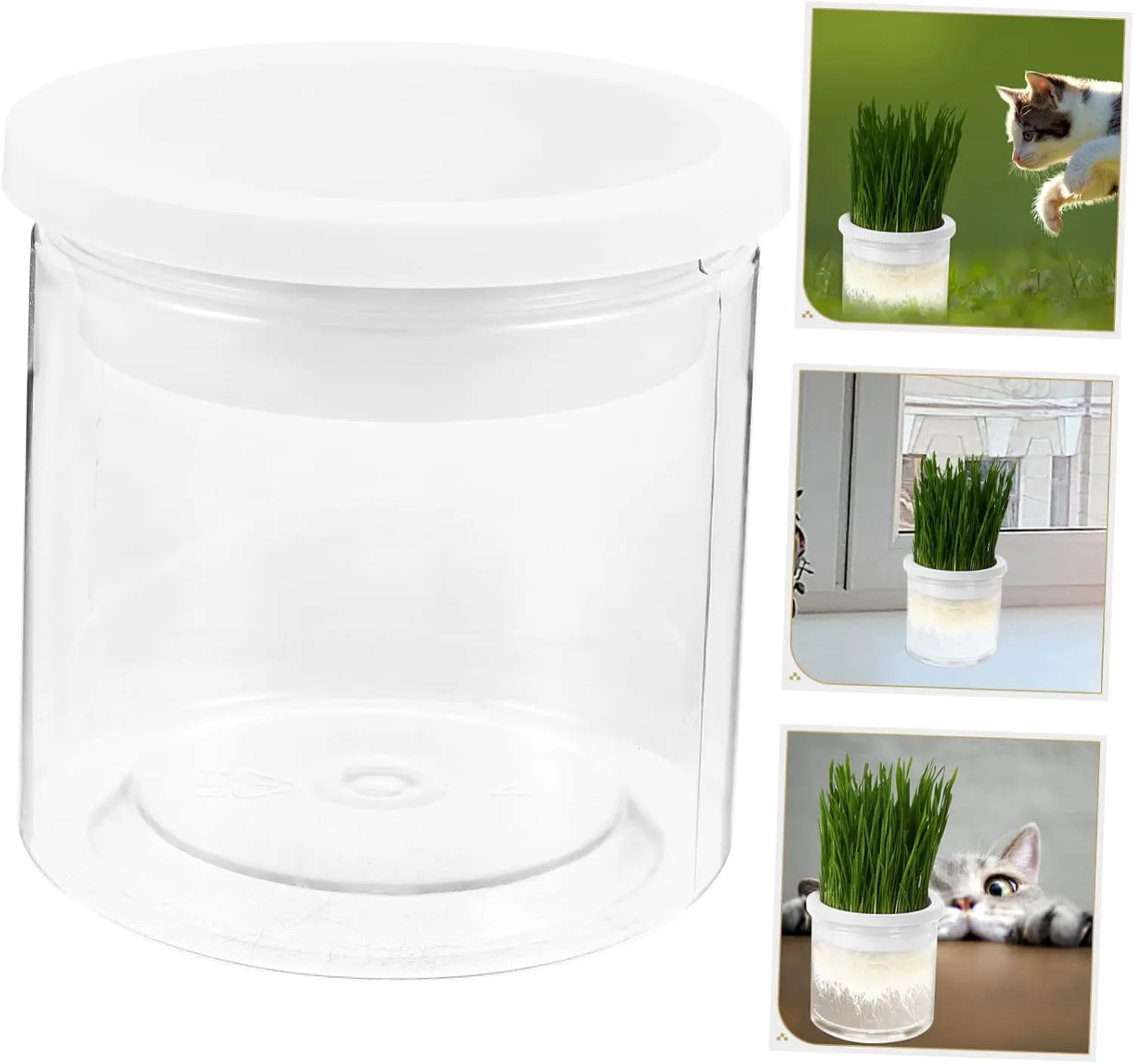 SUPVOX 3pcs Nursery Planter Indoor Planting Box for Cats Soilless Hydroponics