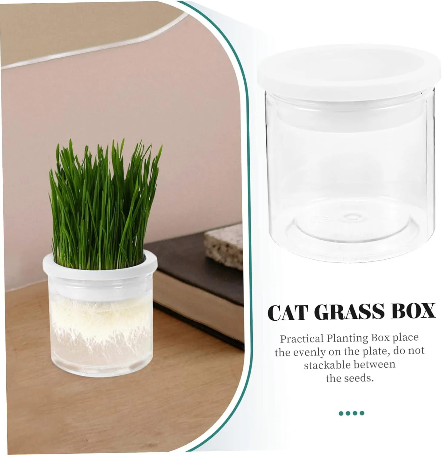 SUPVOX 3pcs Nursery Planter Indoor Planting Box for Cats Soilless Hydroponics
