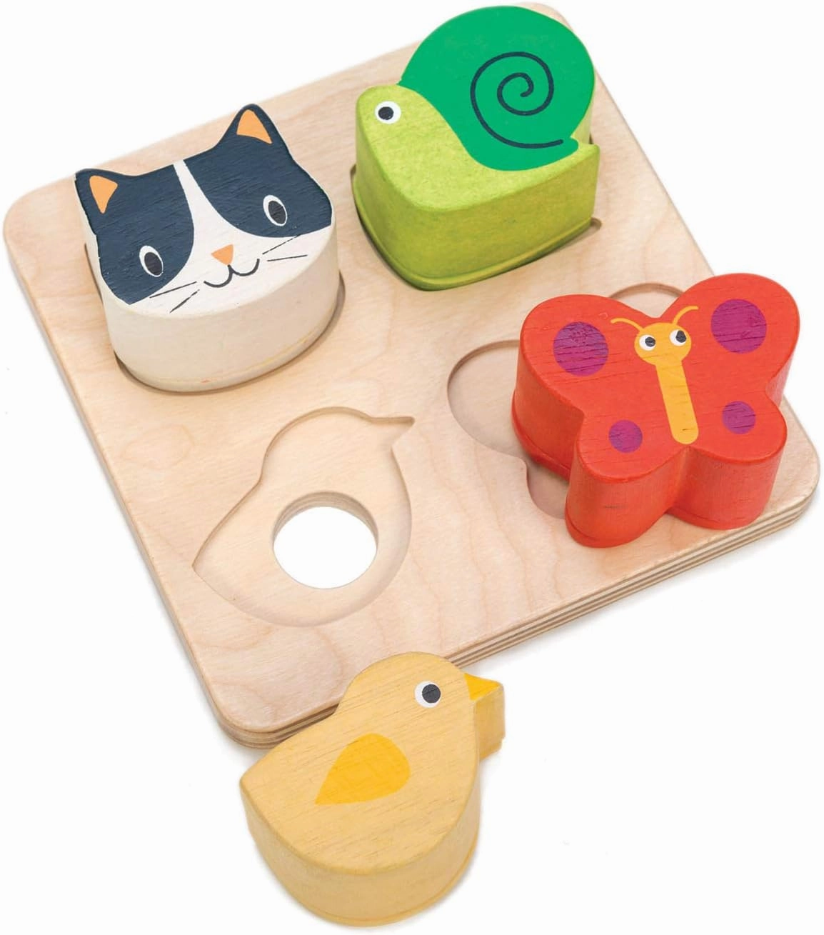 Tender Leaf Toys - Sensory Trays - Baby Blocks, Shape Sorter, STEM Learning Shape Identification Sorting Game Toy for Kids 18 Month   (Touch Sensory Trays)