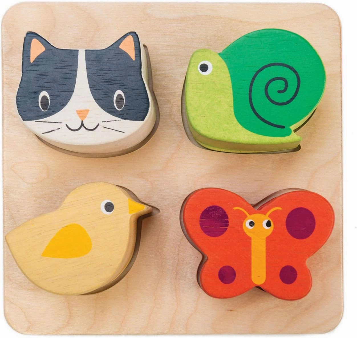 Tender Leaf Toys - Sensory Trays - Baby Blocks, Shape Sorter, STEM Learning Shape Identification Sorting Game Toy for Kids 18 Month   (Touch Sensory Trays)