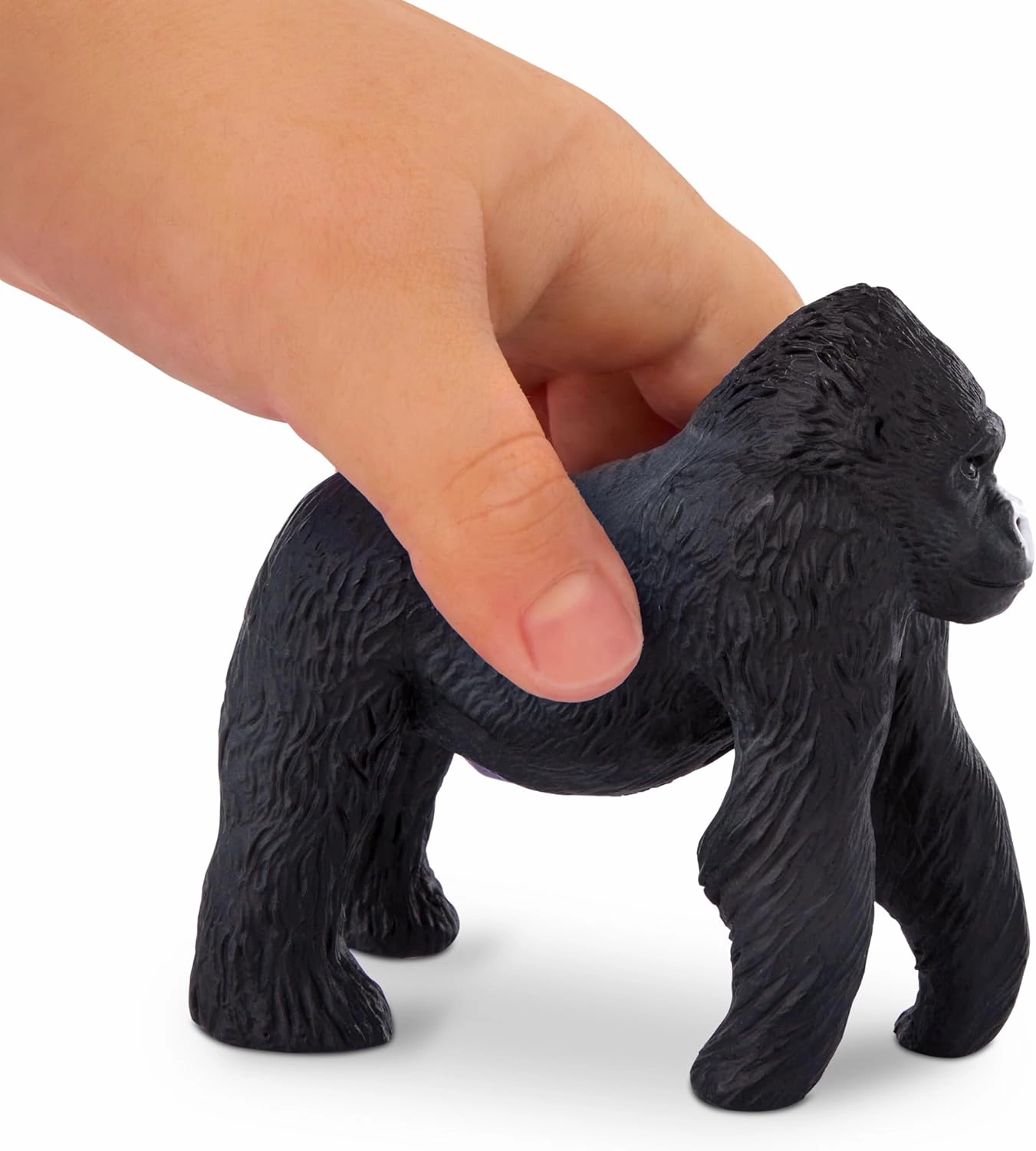 Terra by Battat – Wild Life Set – Realistic Animal Toy Figures with Tiger and Lion Toys for Kids 3  (6 pc) , Black