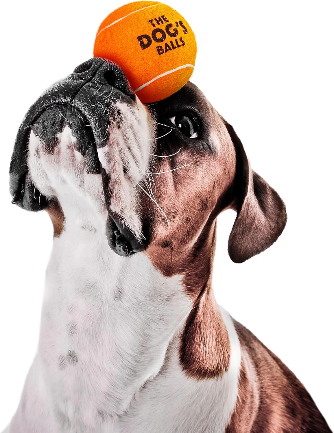 The Dog's Balls, Dog Tennis Balls, 12-Pack Orange, 2.5 Inches Diameter Dog Toy, Strong Dog & Puppy Ball for Training, Play, Exercise & Fetch