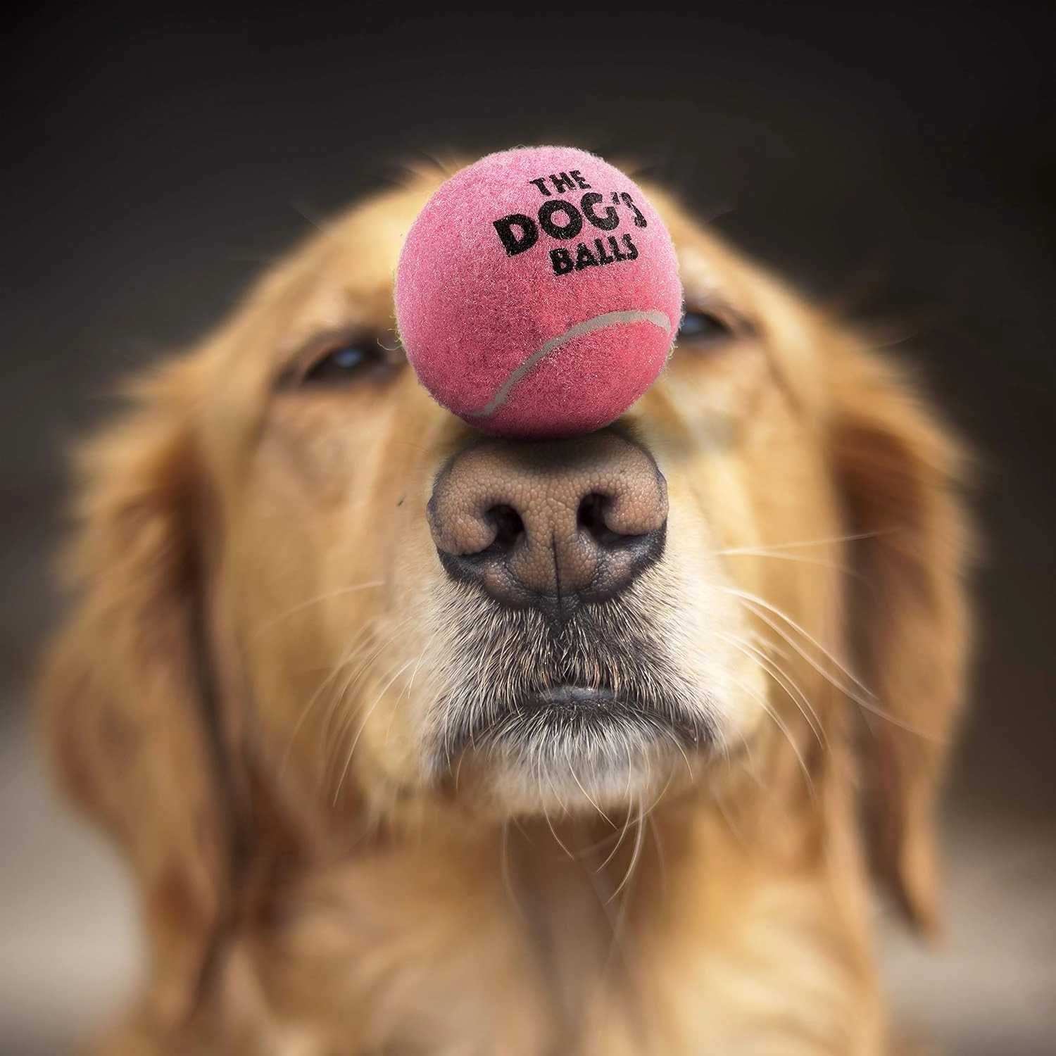 The Dog's Balls, Dog Tennis Balls, 12-Pack Pink, 2.5 Inches Diameter Dog Toy, Strong Dog & Puppy Ball for Training, Play, Exercise & Fetch