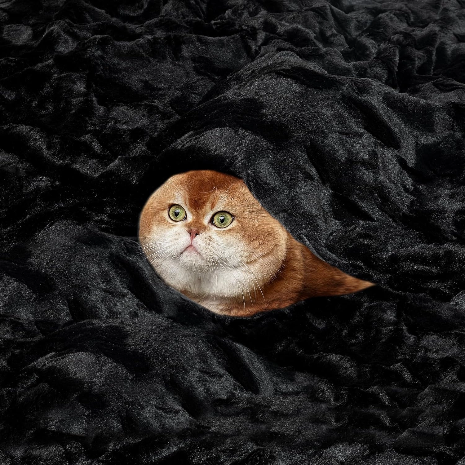 TOONOW Faux Fur Luxury Throw Blanket,Double Side Soft Fluffy Shaggy Fuzzy Blanket for Couch Sofa Bed (Black, X-Large Twin Size)