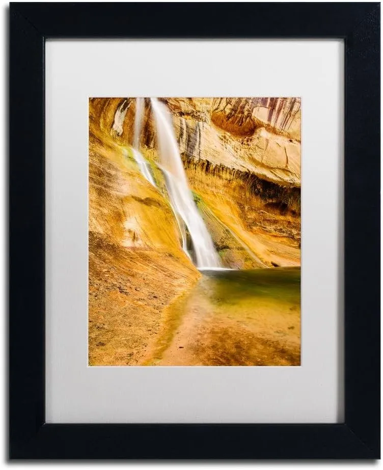 Trademark Fine Art ALI3771-B1114MF Desert Oasis by Michael Blanchette Photography, White Matte, Black Frame 11x14-Inch, 11" by 14"