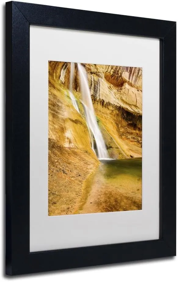 Trademark Fine Art ALI3771-B1114MF Desert Oasis by Michael Blanchette Photography, White Matte, Black Frame 11x14-Inch, 11" by 14"