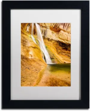 Trademark Fine Art ALI3771-B1114MF Desert Oasis by Michael Blanchette Photography, White Matte, Black Frame 11x14-Inch, 11" by 14"