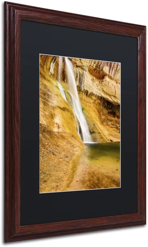 Trademark Fine Art ALI3771-W1620BMF Desert Oasis by Michael Blanchette Photography, Black Matte, Wood Frame 16x20-Inch, 16x20