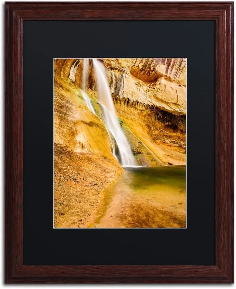 Trademark Fine Art ALI3771-W1620BMF Desert Oasis by Michael Blanchette Photography, Black Matte, Wood Frame 16x20-Inch, 16x20