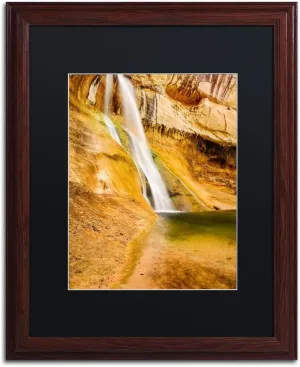 Trademark Fine Art ALI3771-W1620BMF Desert Oasis by Michael Blanchette Photography, Black Matte, Wood Frame 16x20-Inch, 16x20