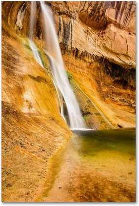 Trademark Fine Art ALI3771-C1219GG Desert Oasis by Michael Blanchette Photography, 12x19-Inch, 12x19