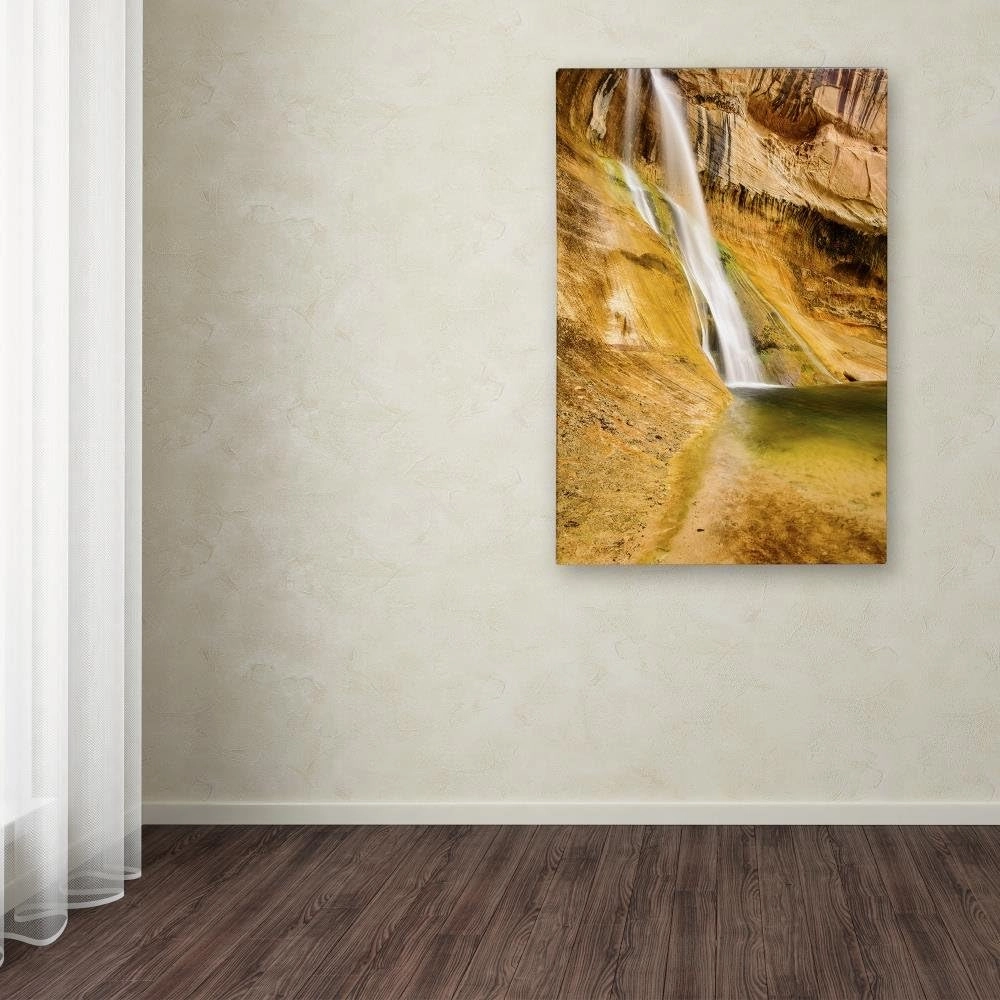 Trademark Fine Art ALI3771-C1219GG Desert Oasis by Michael Blanchette Photography, 12x19-Inch, 12x19