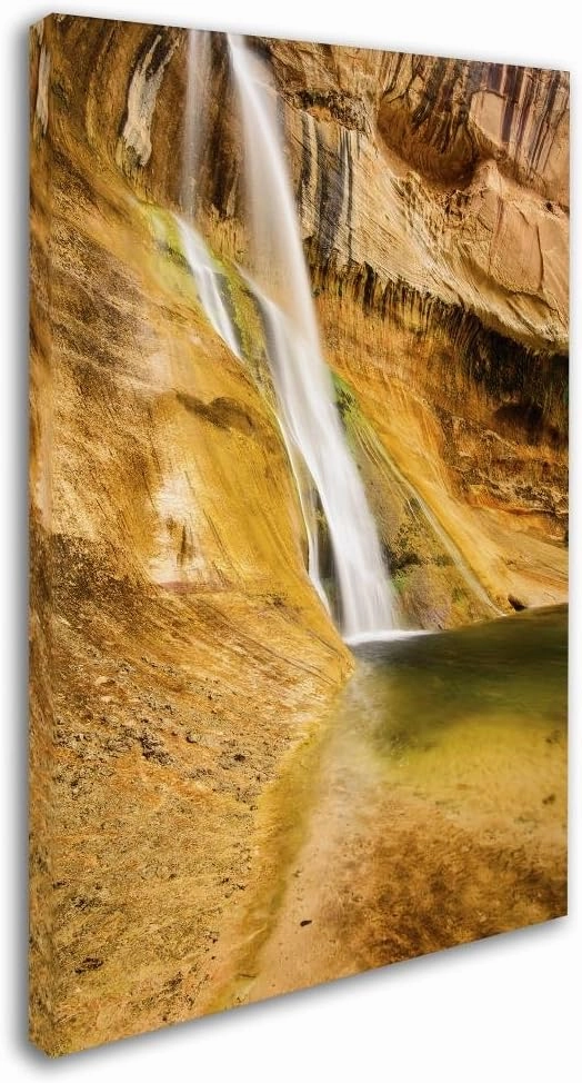 Trademark Fine Art ALI3771-C1219GG Desert Oasis by Michael Blanchette Photography, 12x19-Inch, 12x19