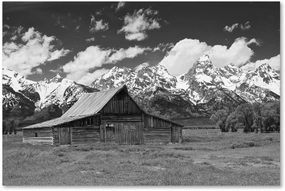 Trademark Fine Art ALI3962-C1219GG Thomas Moulton Barn by Michael Blanchette Photography, 12x19-Inch, 12 x 19 in