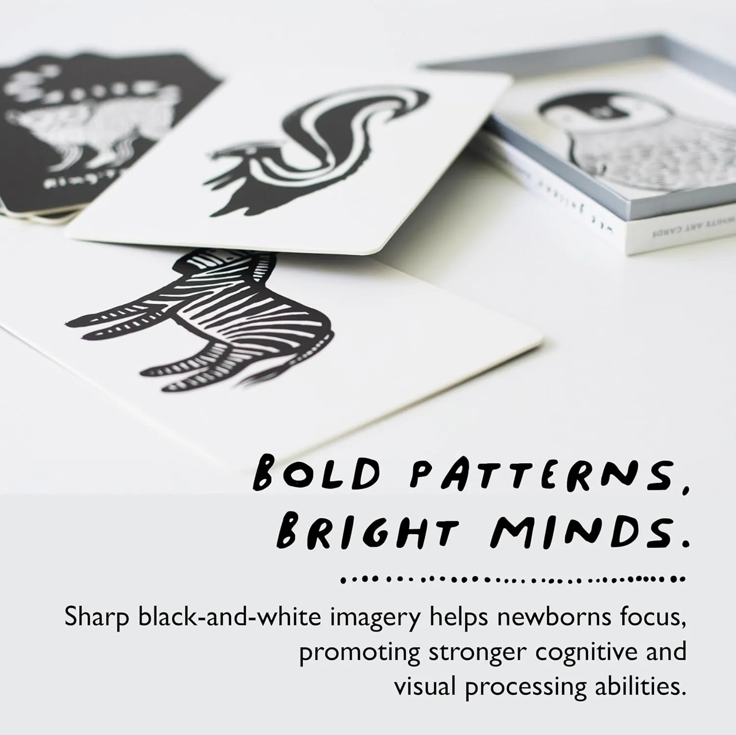 Wee Gallery Art Cards for Baby, Durable High Contrast Black and White Animal Flashcards for Newborns, Brain Development, Sensory Toys, Tummy Time Essentials for Infant and Toddler - Rainforest Animals