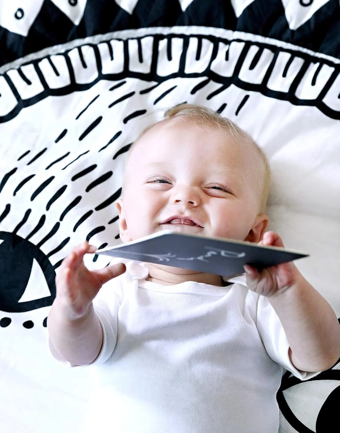 Wee Gallery Art Cards for Baby, Durable High Contrast Black and White Animal Flashcards for Newborns, Brain Development, Sensory Toys, Tummy Time Essentials for Infant and Toddler - Rainforest Animals
