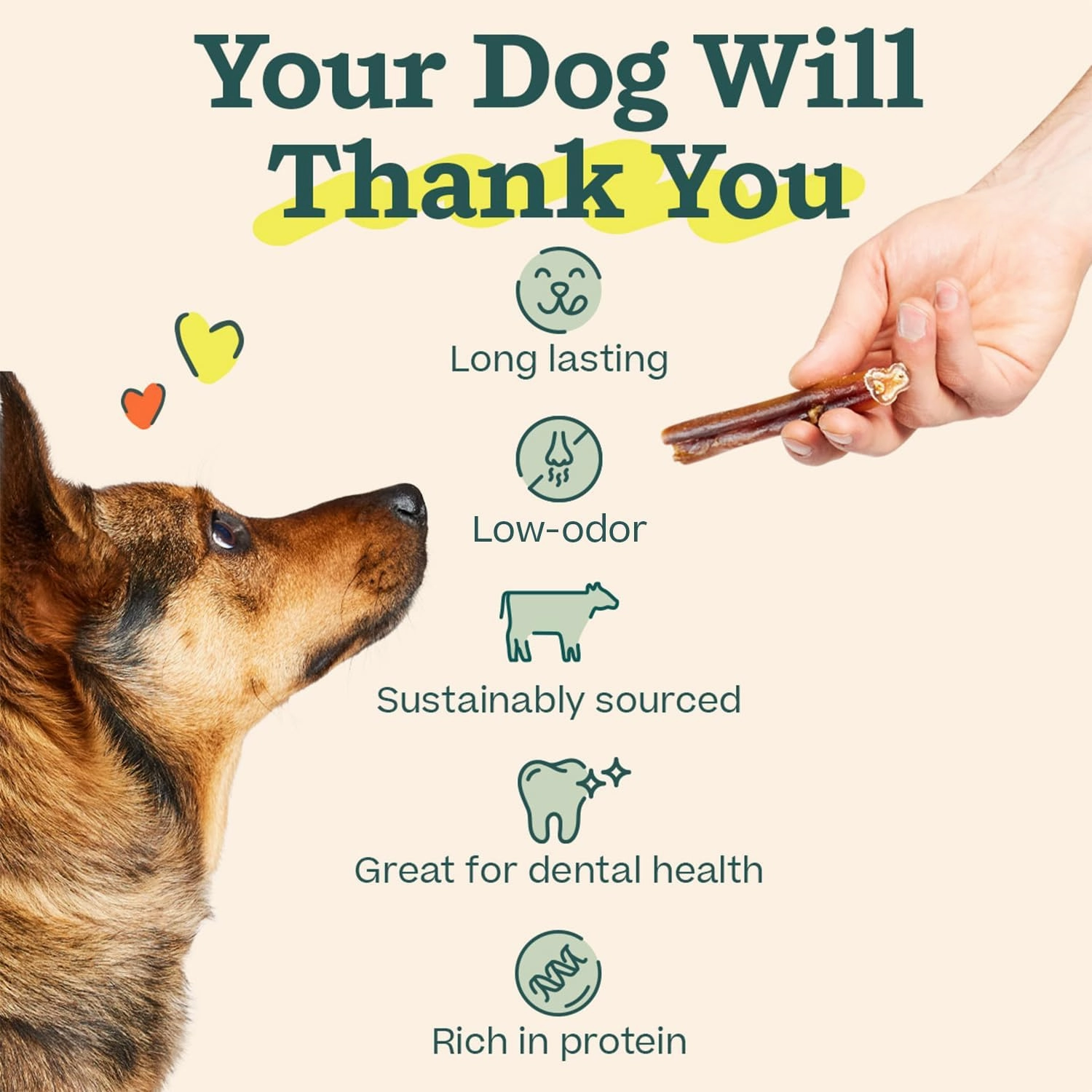 WOOF Bully Sticks Dog Treats - Chew Sticks for Dogs - Long-Lasting Dog Chew Treats - Dog Products Made with Free-Range, Grass-Fed Beef - 6" Sticks - 5pk