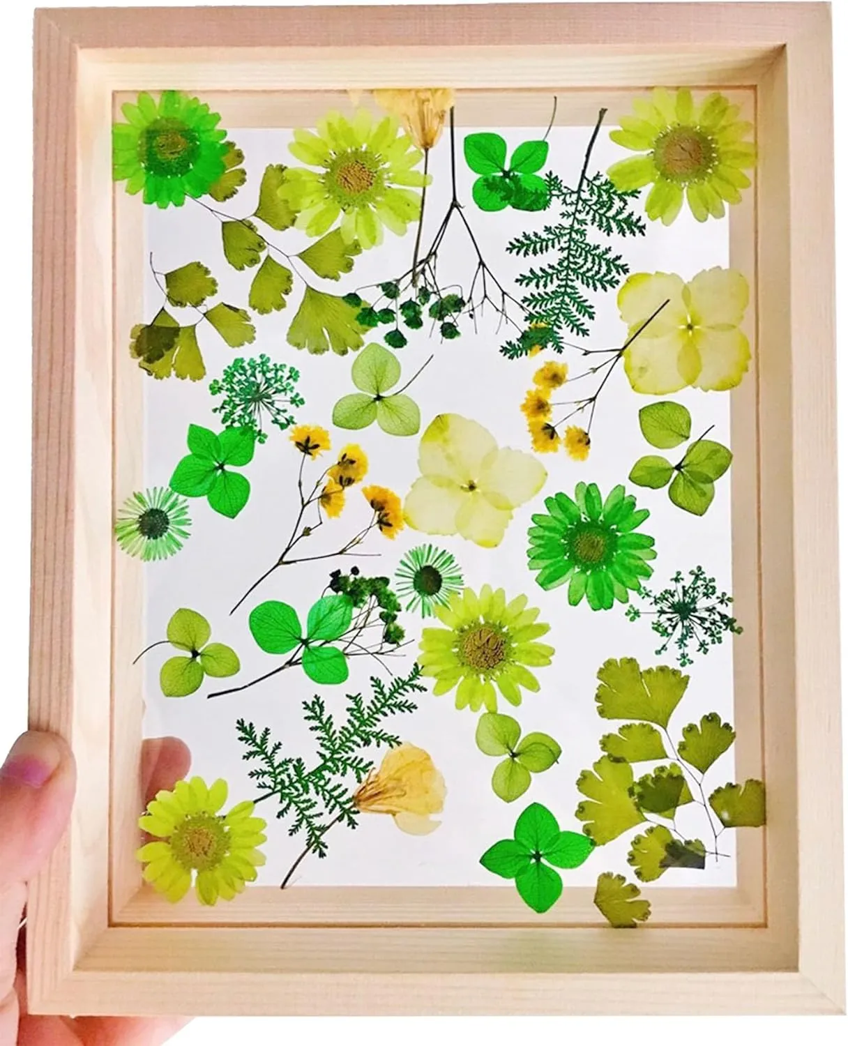 Woohome Natural Dried Pressed Flowers Leaves, Gold Leaf Flakes, Multiple Pressed Dry Flowers with Sequins Gold Leaf Flakes for DIY Candle Resin Jewelry Nail Crafts Art Floral Decoration